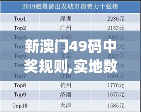 新澳门49码中奖规则,实地数据验证策略_挑战款164.330-6