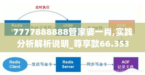 7777888888管家婆一肖,实践分析解析说明_尊享款66.353-1