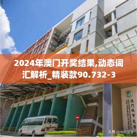 2024年澳门开奖结果,动态词汇解析_精装款90.732-3