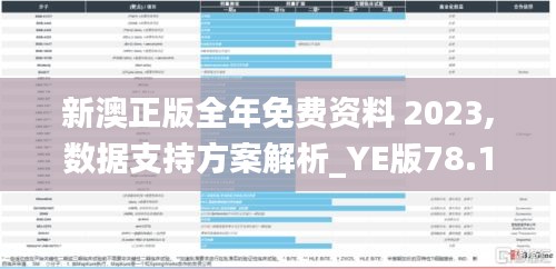 新澳正版全年免费资料 2023,数据支持方案解析_YE版78.133-9