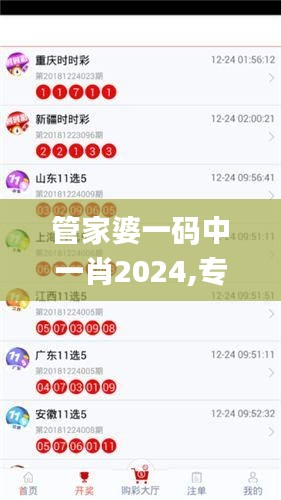 管家婆一码中一肖2024,专业说明解析_Tizen38.296-3