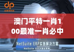 澳门平特一肖100最准一肖必中,深入解析数据策略_suite87.460-4