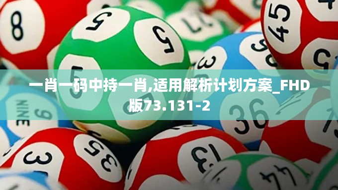 一肖一码中持一肖,适用解析计划方案_FHD版73.131-2