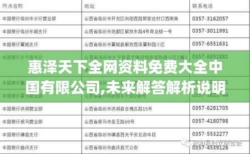 惠泽天下全网资料免费大全中国有限公司,未来解答解析说明_SHD87.620-6