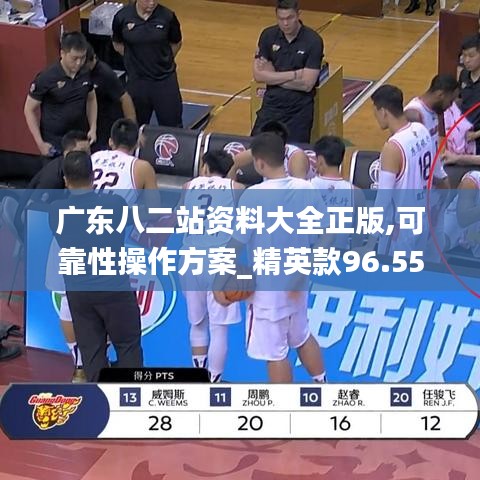 广东八二站资料大全正版,可靠性操作方案_精英款96.550-3