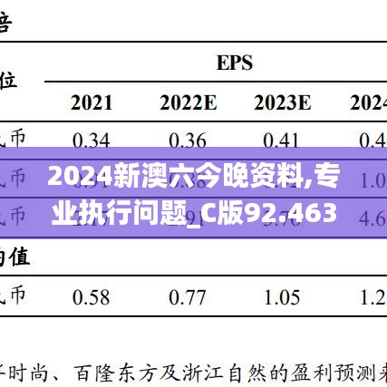 2024新澳六今晚资料,专业执行问题_C版92.463-8