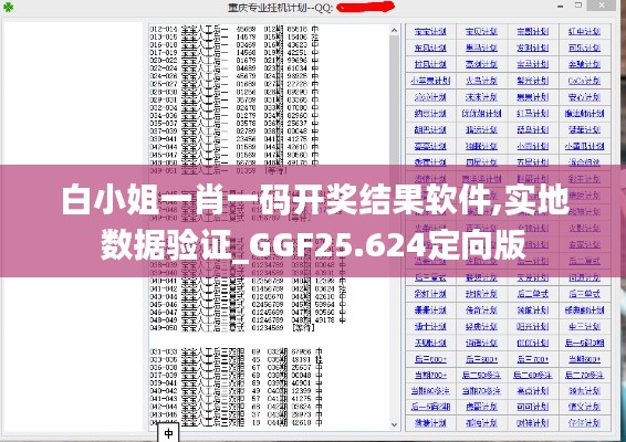 白小姐一肖一码开奖结果软件,实地数据验证_GGF25.624定向版