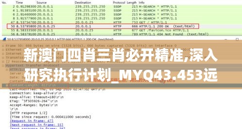 新澳门四肖三肖必开精准,深入研究执行计划_MYQ43.453远光版