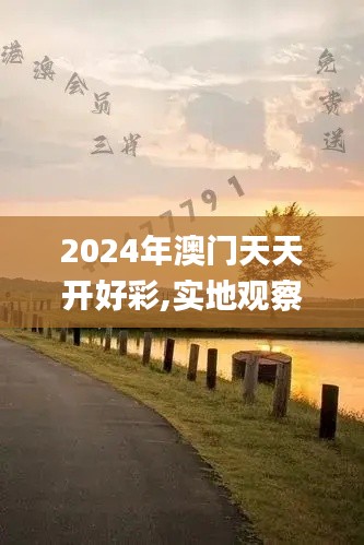 2024年澳门天天开好彩,实地观察解释定义_SOH36.900万能版