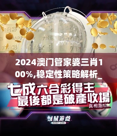 2024澳门管家婆三肖100%,稳定性策略解析_限定版47.167-2