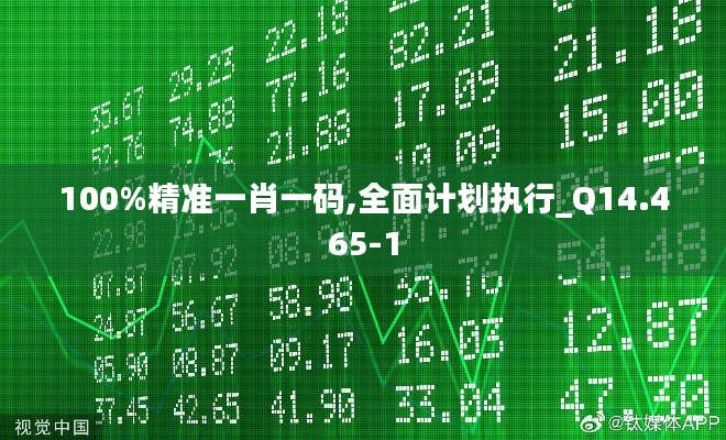 100%精准一肖一码,全面计划执行_Q14.465-1