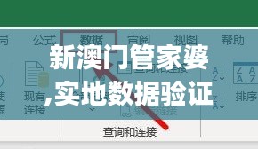 新澳门管家婆,实地数据验证_BCB28.550资源版