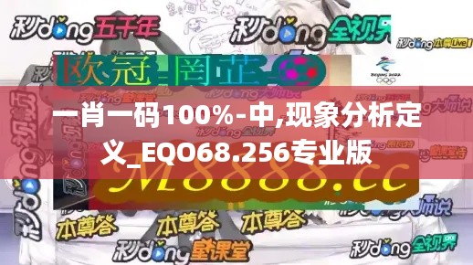 一肖一码100%-中,现象分析定义_EQO68.256专业版