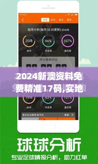 2024新澳资料免费精准17码,实地计划设计验证_M版73.231-8