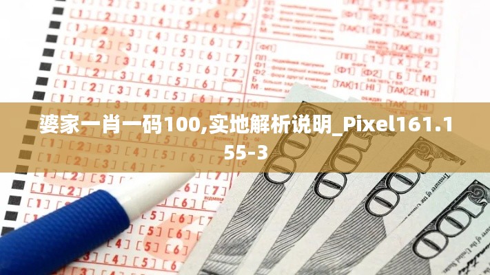 婆家一肖一码100,实地解析说明_Pixel161.155-3