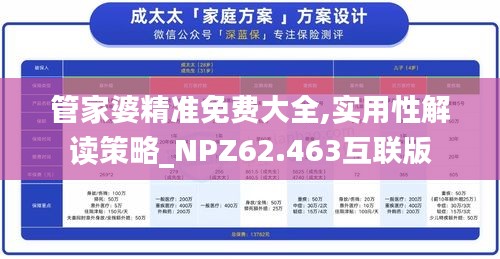 管家婆精准免费大全,实用性解读策略_NPZ62.463互联版