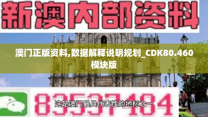 澳门正版资料,数据解释说明规划_CDK80.460模块版