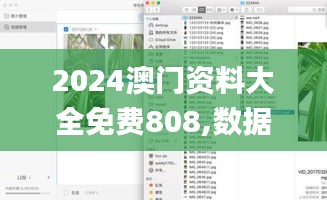 2024澳门资料大全免费808,数据引导设计方法_WYV90.242旗舰款