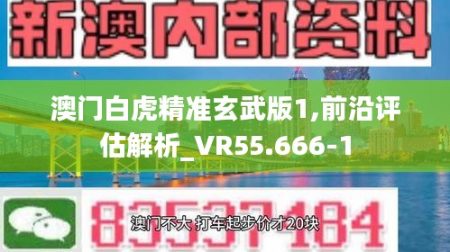 澳门白虎精准玄武版1,前沿评估解析_VR55.666-1