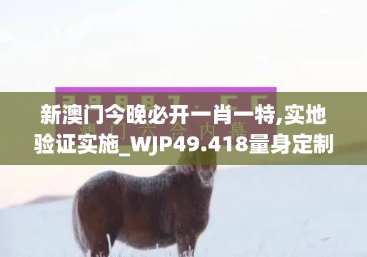 新澳门今晚必开一肖一特,实地验证实施_WJP49.418量身定制版