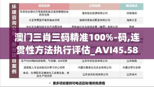 澳门三肖三码精准100%-码,连贯性方法执行评估_AVI45.586人工智能版