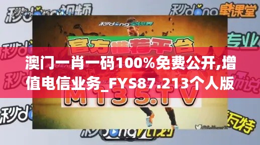 澳门一肖一码100%免费公开,增值电信业务_FYS87.213个人版