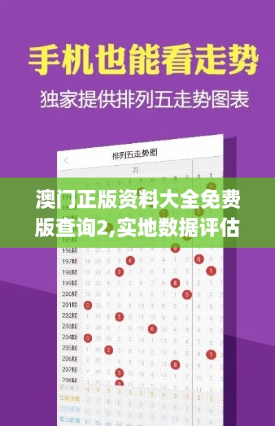 澳门正版资料大全免费版查询2,实地数据评估分析_RRG71.221并行版