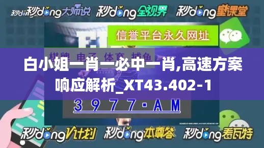 白小姐一肖一必中一肖,高速方案响应解析_XT43.402-1