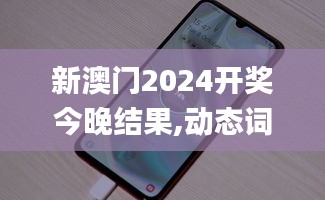 新澳门2024开奖今晚结果,动态词语解释定义_Galaxy87.681-3