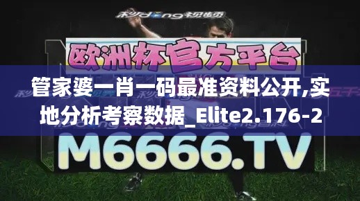 管家婆一肖一码最准资料公开,实地分析考察数据_Elite2.176-2