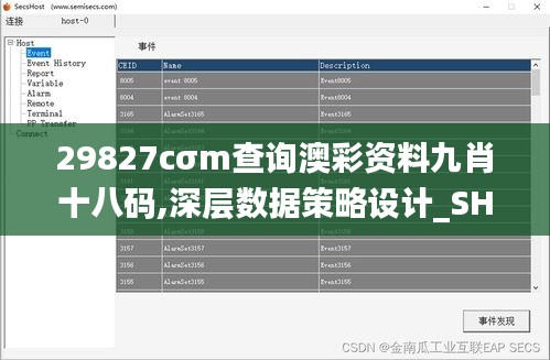 29827cσm查询澳彩资料九肖十八码,深层数据策略设计_SHD68.168-4