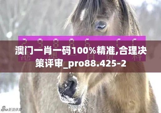 澳门一肖一码100%精准,合理决策评审_pro88.425-2