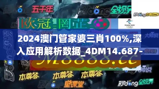 2024澳门管家婆三肖100%,深入应用解析数据_4DM14.687-6