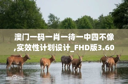 澳门一码一肖一待一中四不像,实效性计划设计_FHD版3.608-4