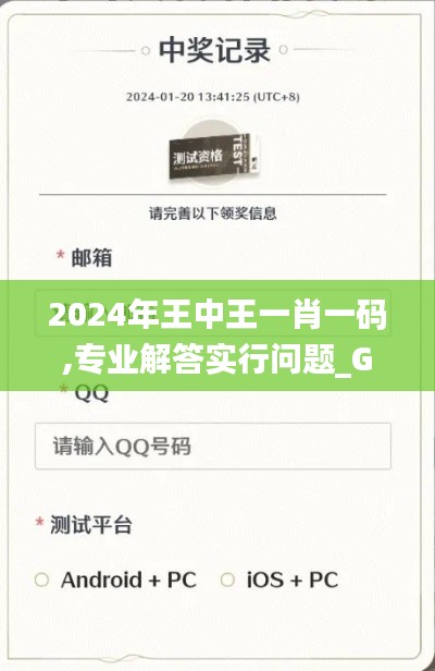 2024年王中王一肖一码,专业解答实行问题_GM版87.798-7