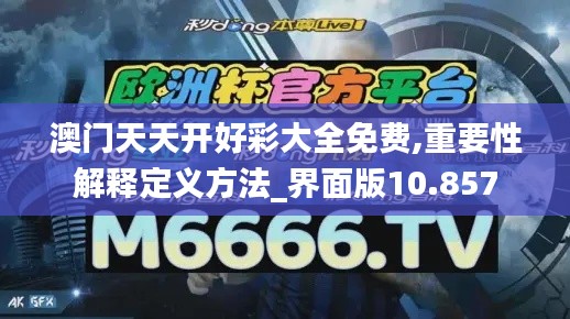 澳门天天开好彩大全免费,重要性解释定义方法_界面版10.857